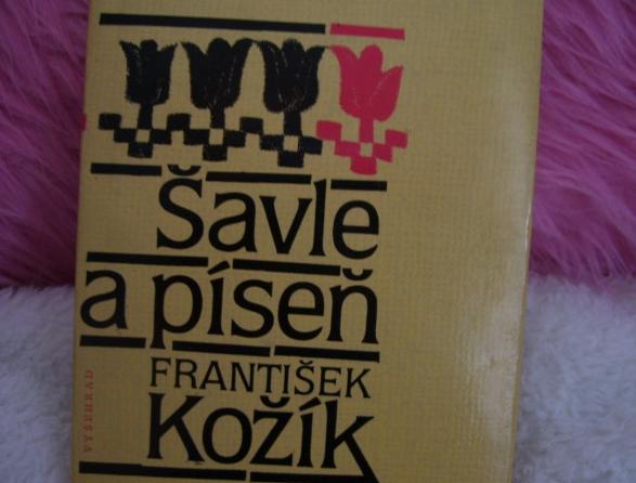 ŠAVLE A PÍSEŇ knížka kniha román četba šavle a píseň kožík 
