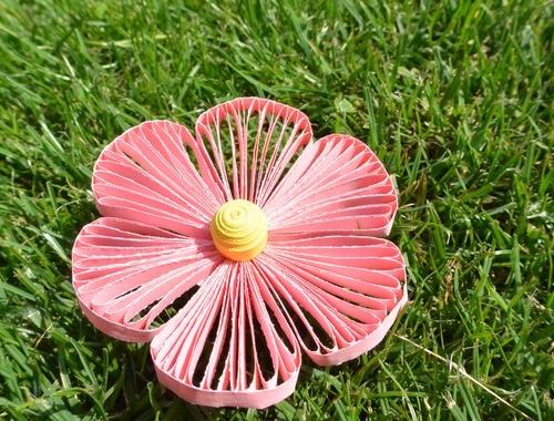Růže šípková dekorace květina quilling 
