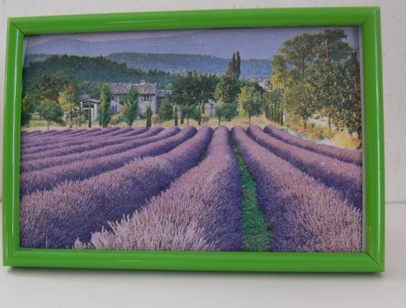 obrázek - s panenkou