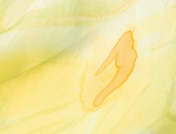 Malované lněné šaty Skrývám šelmu