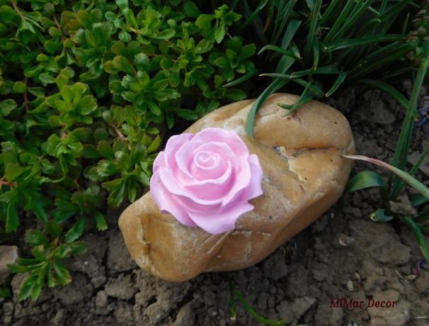 Sada 3 krabiček na sponky, gumičky