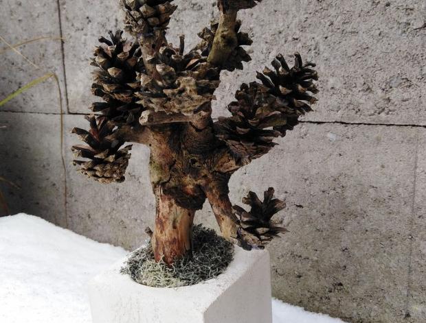 Betonová dóza s ornamenty