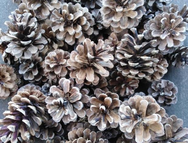 Betonová dóza s ornamenty