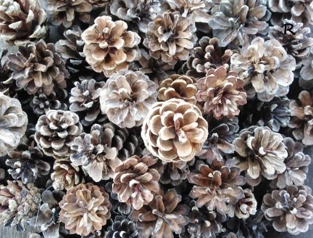 Betonová dóza s ornamenty