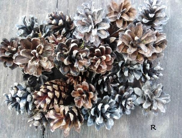 Betonová dóza s ornamenty