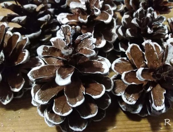 Betonová dóza s ornamenty