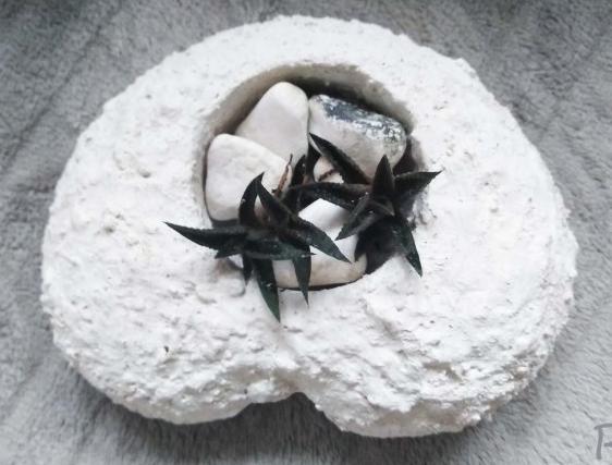 Betonová dóza s ornamenty