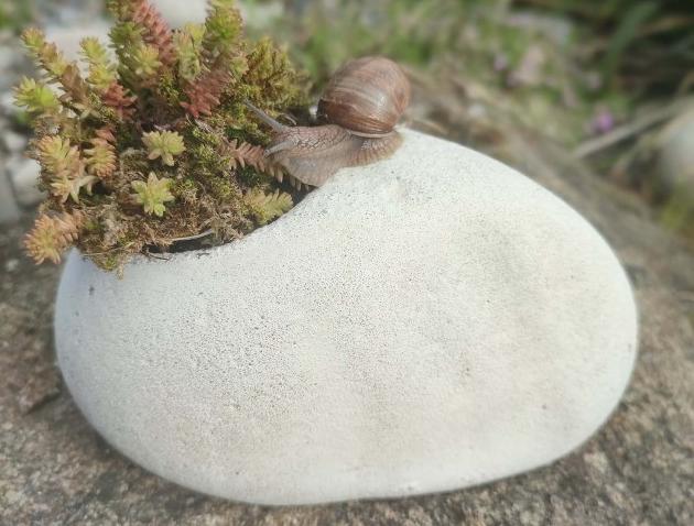 Betonová dóza s ornamenty