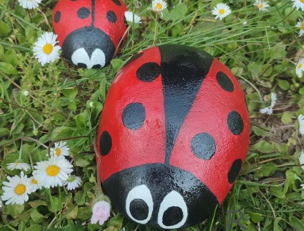 Betonová dóza s ornamenty