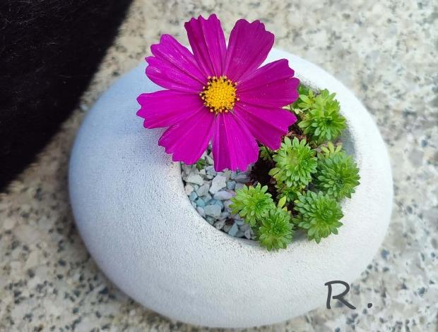 Betonová dóza s ornamenty