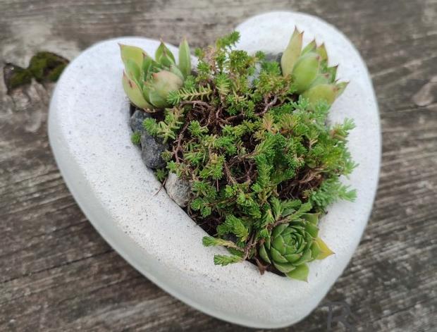 Betonová dóza s ornamenty