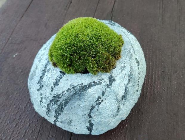 Betonová dóza s ornamenty