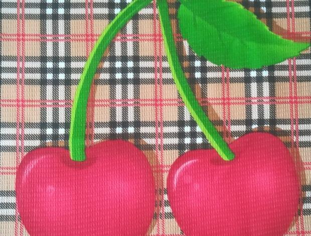 Batoh (stahovací vak) mýval