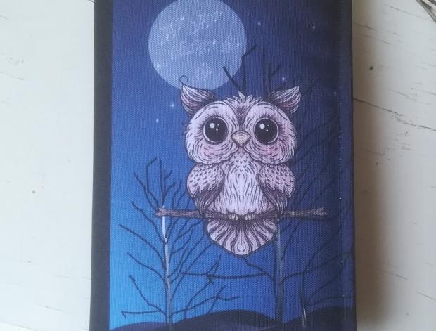 Batoh (stahovací vak) mýval