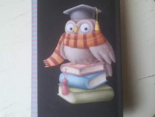 Batoh (stahovací vak) mýval