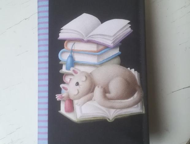 Batoh (stahovací vak) mýval