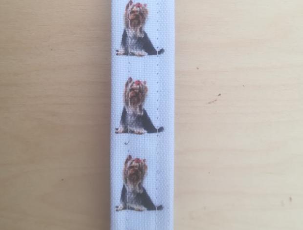 Batoh (stahovací vak) mýval