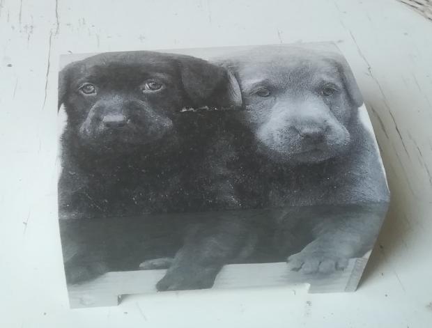 Batoh (stahovací vak) mýval