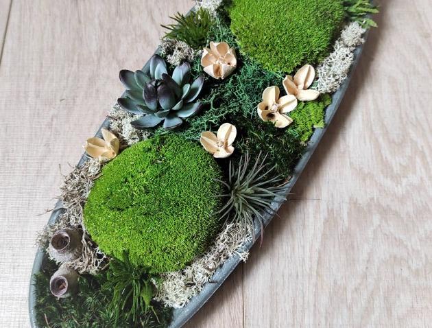 Mechová dekorace na dřev. míse dřevo dřevěná dekorace dárek zelený příroda přírodní mísa mechová mech natural patinovaná sukulent severský nature skandinávský lišejník tilandsie stabilizovaný 