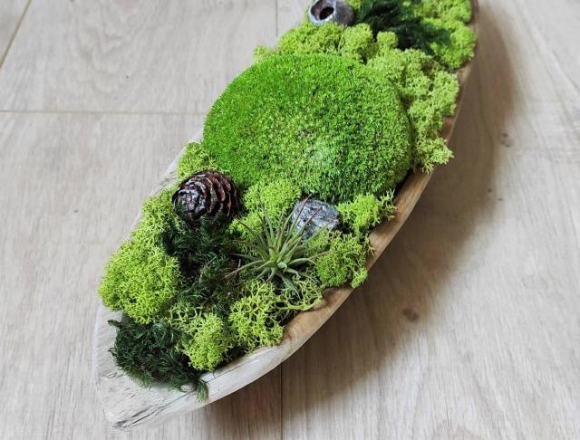 Mechová dekorace v teakové misce dřevo dřevěná dekorace dárek zelený miska mech severský skandinávský lišejník stabilizovaný teaková trvanilivá 