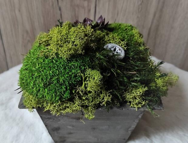 Jarní věnec s čemeřicí