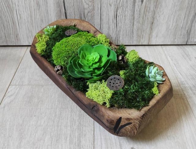 Mechová dekorace v dřevěné míse dřevo hnědý dřevěná dekorace dárek zelený interiér narozeniny svátek mísa dub mechová mech severský trvanlivý doplněk do bytu skandinávský lišejník stabilizovaný bezúdržbový ručně dlabaná 