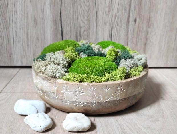 Mechová dekorace v mangové míse dřevo dřevěná dekorace dárek zelený interiér narozeniny svátek přírodní mísa mech natural bytový doplněk severský trvanlivý skandinávský lišejník stabilizovaný bezúdržbový mangové dřevo 