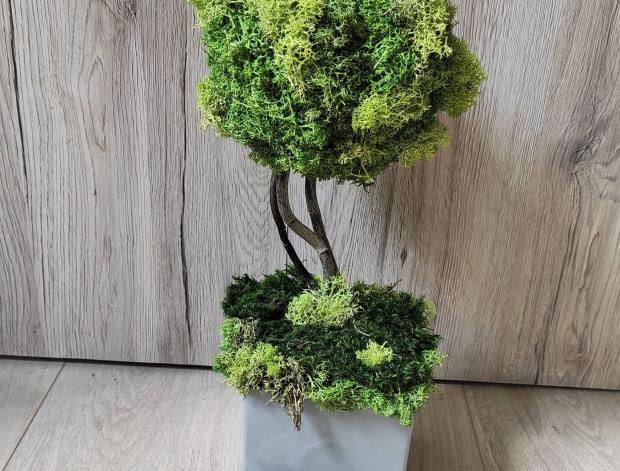 Mech. dekorace v dřev. květináči 2