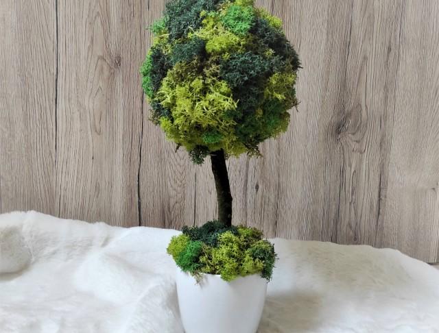 Mechový stromek v květináči dekorace dárek keramika zelený interiér narozeniny svátek květináč šedý keramický mech stromek bytový doplněk severský trvanlivý skandinávský lišejník stabilizovaný bezúdržbový 