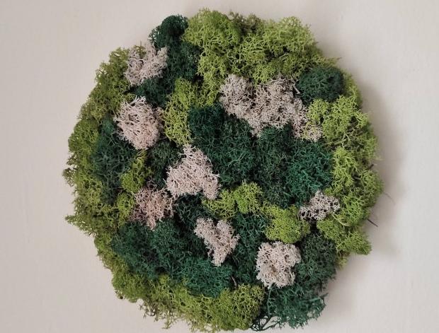 Mech. dekorace v dřev. květináči 2