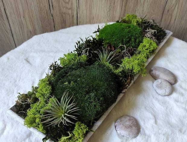 Mechová dekorace na patin. tácku dřevo dřevěný dekorace dárek interiér příroda přírodní tác šedý tácek mechová stylový patinovaný severský trvanlivý skandinávský lišejník stabilizovaný bezúdržbový interiérový moss dovozový 