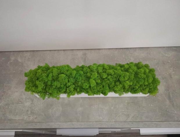 Dekorační blok se stab. mechem