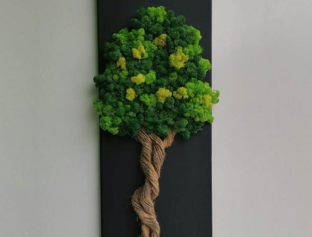 Mechový obraz, srom mechová dekorace bonsai strom 