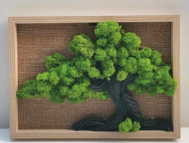 Mechový obraz, strom, 20x30 mechová dekorace strom života so 