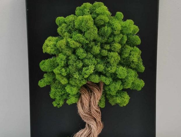 Mechový obraz, strom života, 30x40