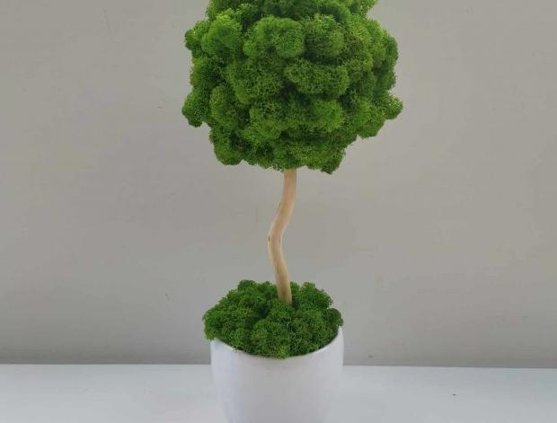Mechový stromek 37 cm.