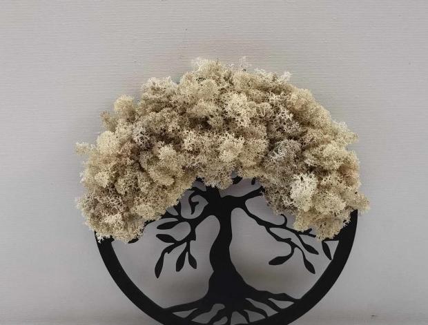 Mechový strom bílý, 20 cm. mechová dekorace strom obraz dek 