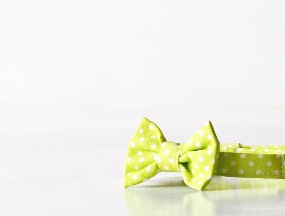 Méďa pro zahřátí nejen na těle