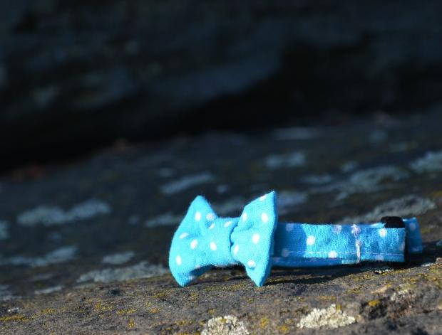 Méďa pro zahřátí nejen na těle