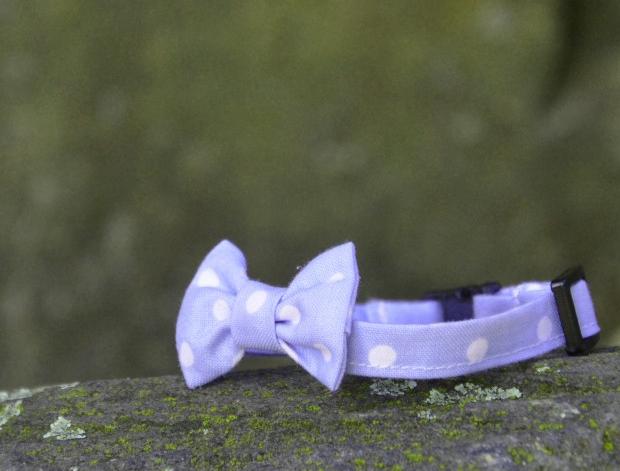 Méďa pro zahřátí nejen na těle