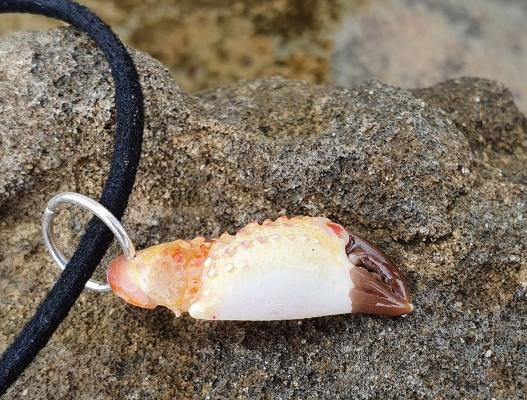 Klepítko-Ibiza náhrdelník moře léto krab klepeto 