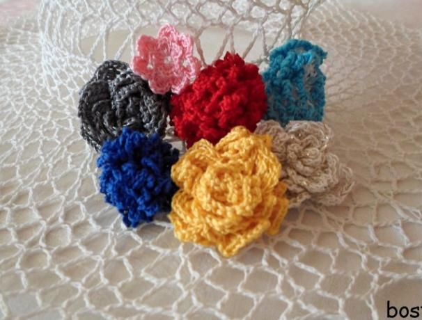 SVETR NA JORKŠÍRKA