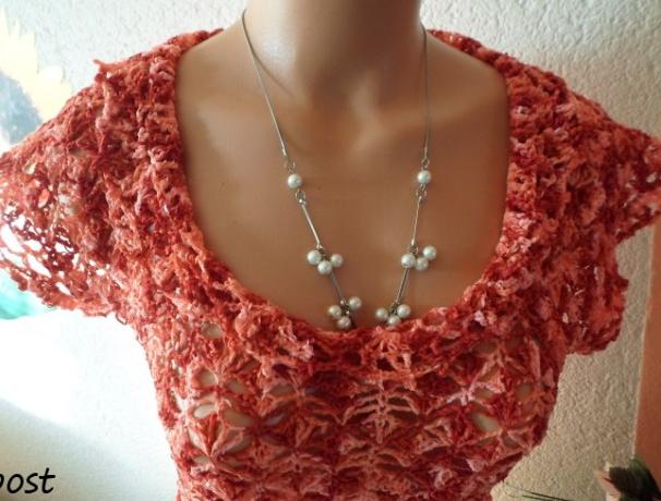 SVETR NA JORKŠÍRKA