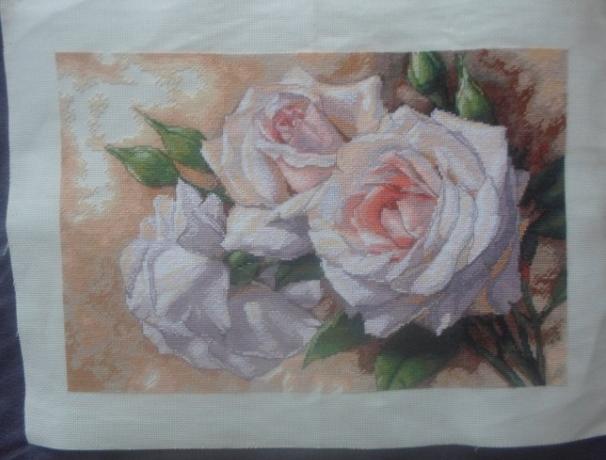 SVETR NA JORKŠÍRKA