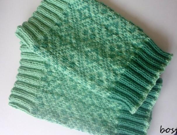 SVETR NA JORKŠÍRKA