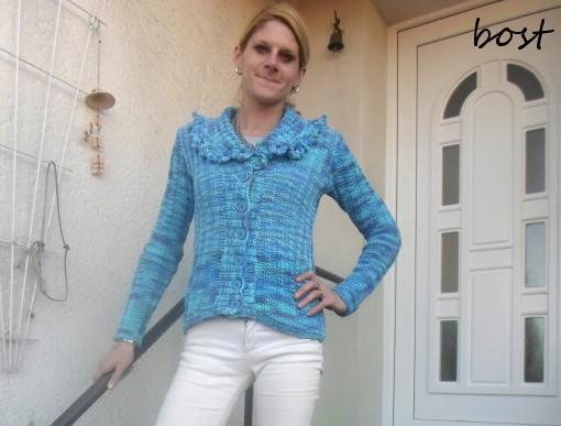 SVETR NA JORKŠÍRKA