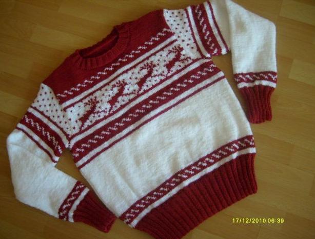 SVETR NA JORKŠÍRKA