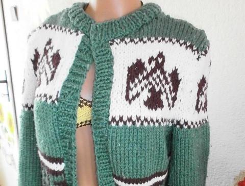 SVETR NA JORKŠÍRKA