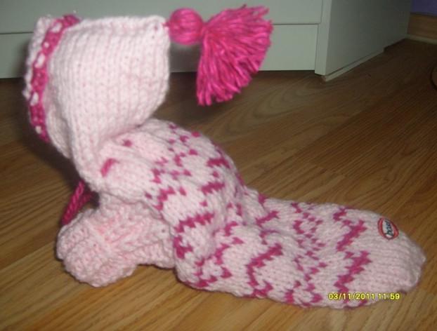 SVETR NA JORKŠÍRKA