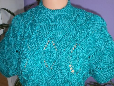 SVETR NA JORKŠÍRKA